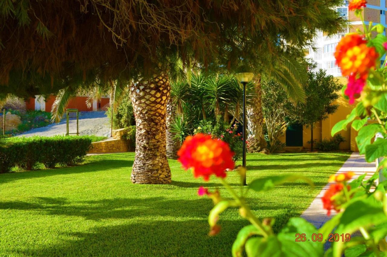 Bungalo En Primera Linea De La Playa El Campello Exteriér fotografie