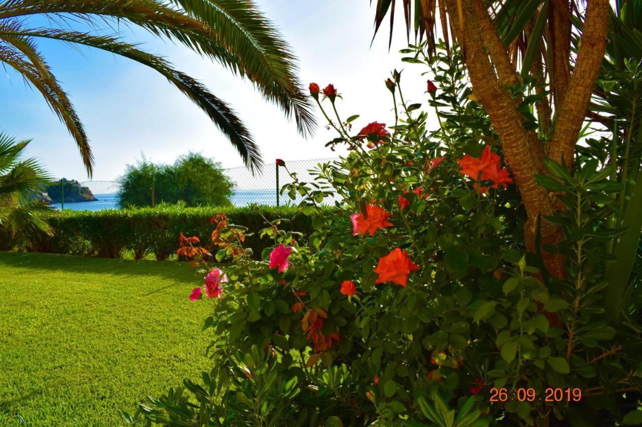Bungalo En Primera Linea De La Playa El Campello Exteriér fotografie